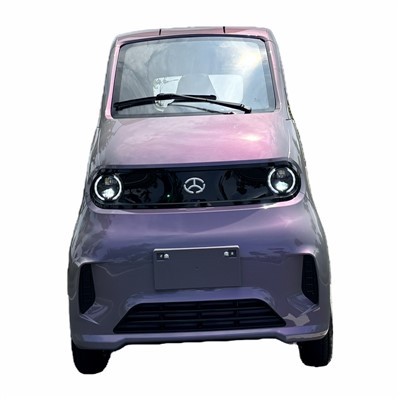 Street Legal Low Speed ​​Electric Vehicles